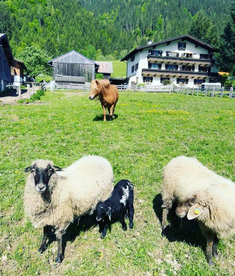 Hettlerhof Otel Maishofen Dış mekan fotoğraf